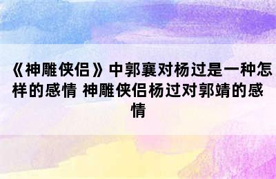 《神雕侠侣》中郭襄对杨过是一种怎样的感情 神雕侠侣杨过对郭靖的感情